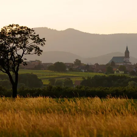 Elouann Familial Spacieux Calme Сasa de vacaciones Ebersheim